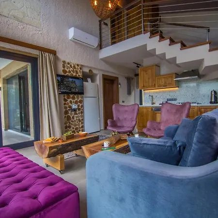 Villa Volans *