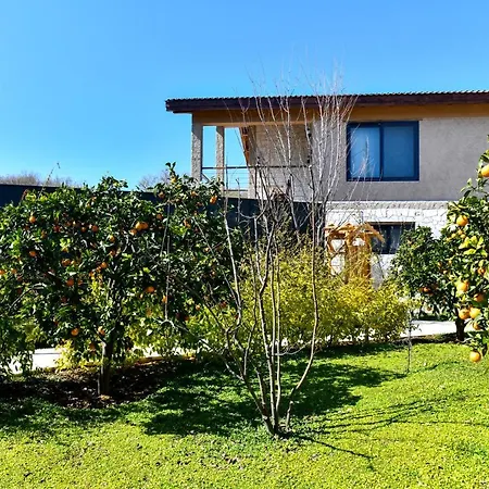 Volans Villa